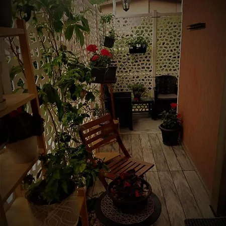 Guest house B&B Maharaja Adults Only *