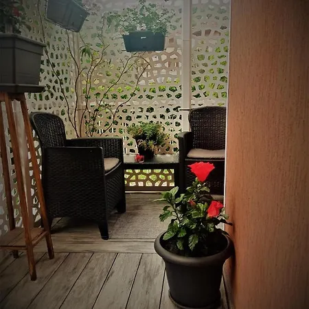 Гостевой дом B&B Maharaja Adults Only *